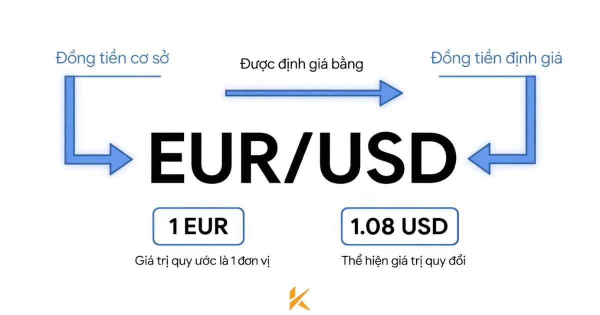 Cấu trúc giải phẫu của một cặp tiền tệ Cấu trúc giải phẫu của một cặp tiền tệ