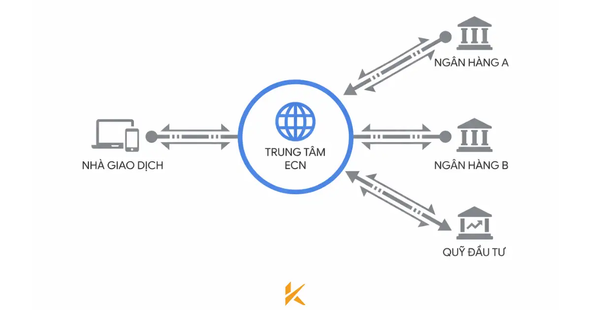Cấu trúc mạng lưới ECN Cấu trúc mạng lưới ECN